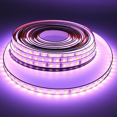 Good price Effortlessly Install High Voltage LED Strip Light Lightweight and Create Different Atmospheres for Any Installation online