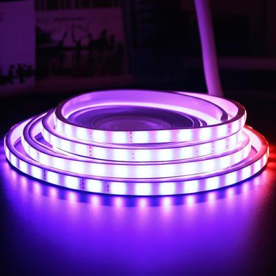 良い価格 PVC Lamp Body Material Color Changing LED Strip Lights for Both Indoor and Outdoor Settings オンライン