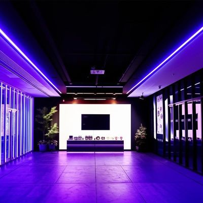 良い価格 Color Options Lightweight LED Strip Lights for Versatile Atmosphere Creation in Commercial Settings オンライン
