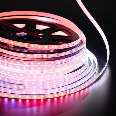 Good price LED Strip Lights The Ultimate Solution for Your Business Needs online